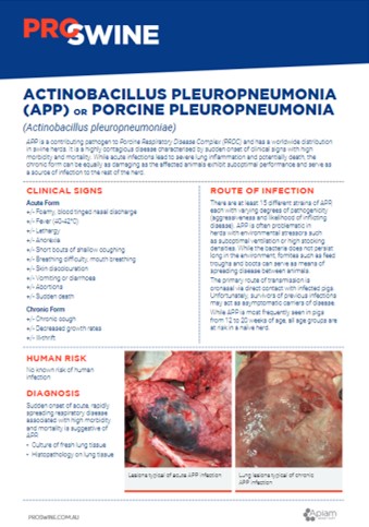 Disease Fact Sheets NOW LIVE! - ProSwine