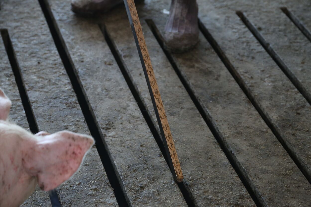 Safety and treatment strategies for manure foaming ProSwine