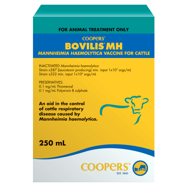 Bovilis MH