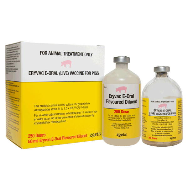 Eryvac E-Oral Vaccine for Pigs