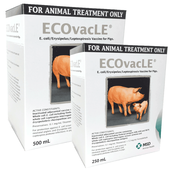 ECOvacLE Vaccine