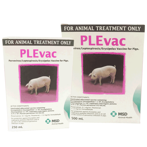 PLEvac Vaccine