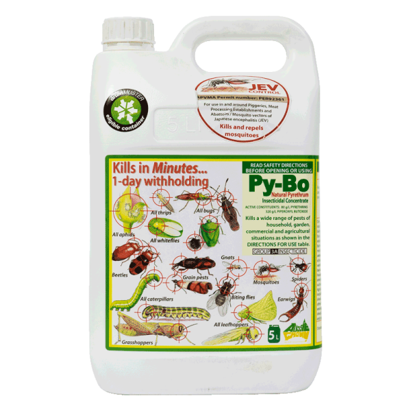 Py-Bo Natural Pyrethrum Insecticidal Concentrate [5 L]