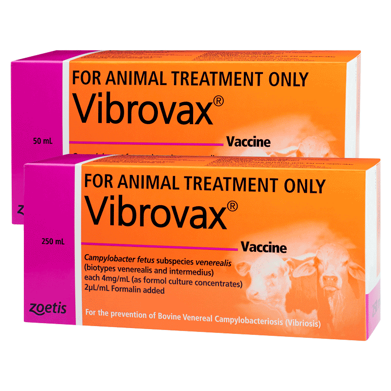 Vibrovax vaccine