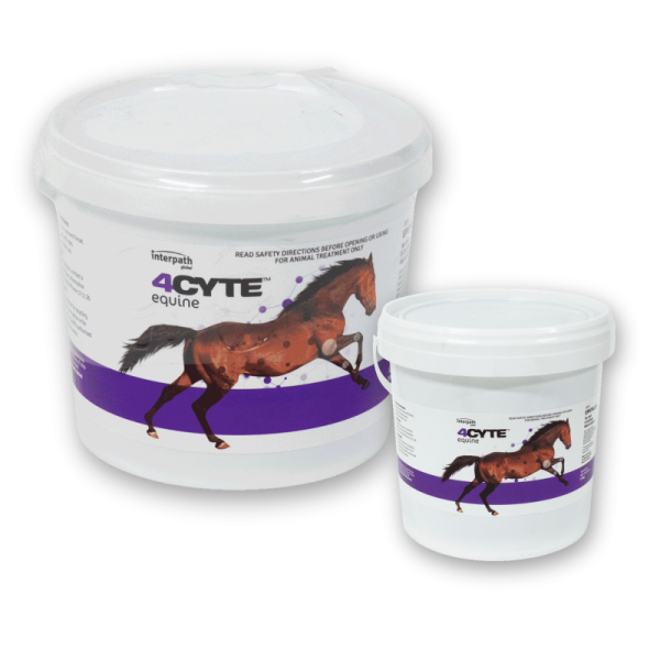 4CYTE Equine