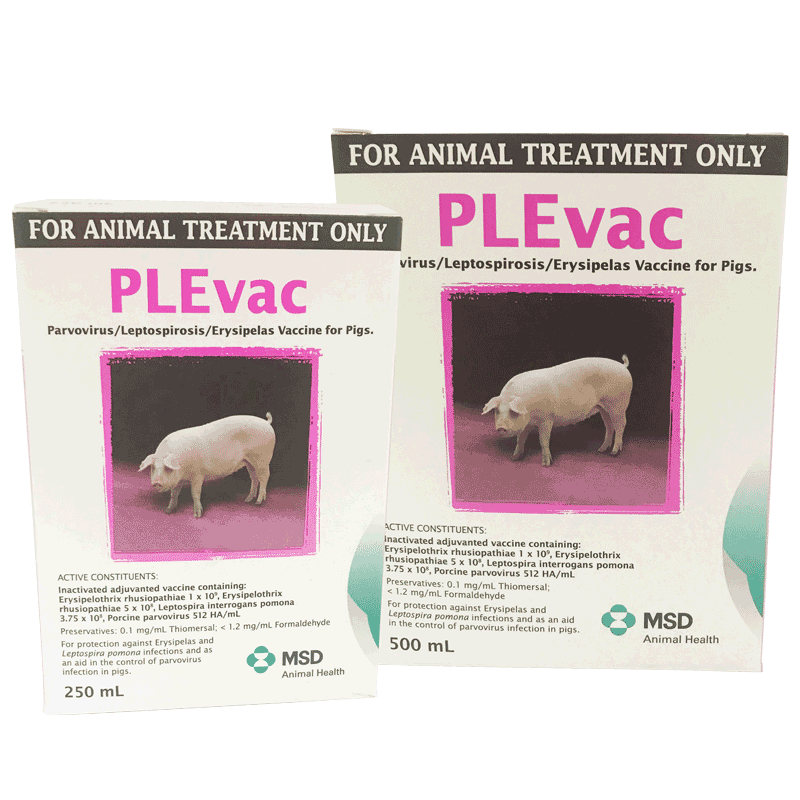 PLEvac Vaccine