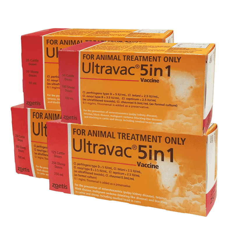 Ultravac 5 in 1 Vaccine