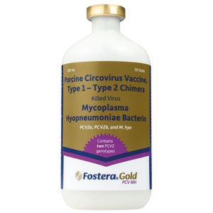 Fostera Gold PCV MH