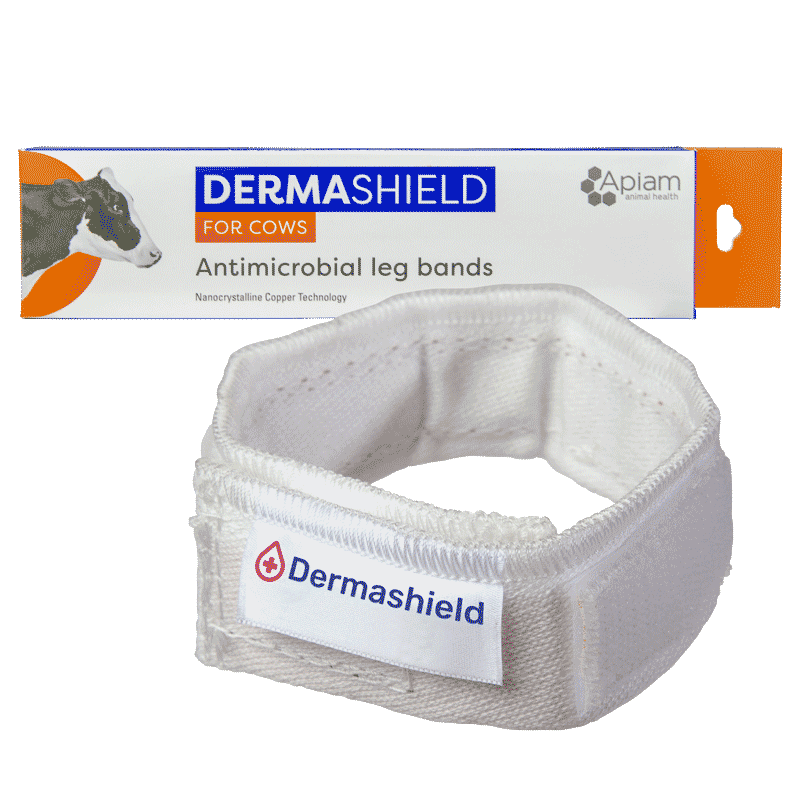 Dermashield Leg Band