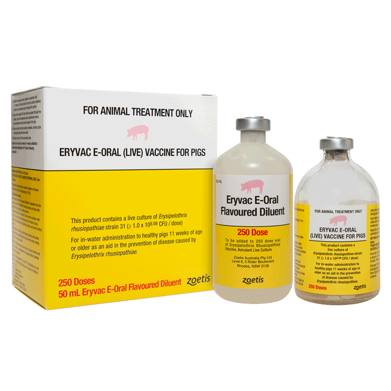 Eryvac E-Oral Vaccine for Pigs