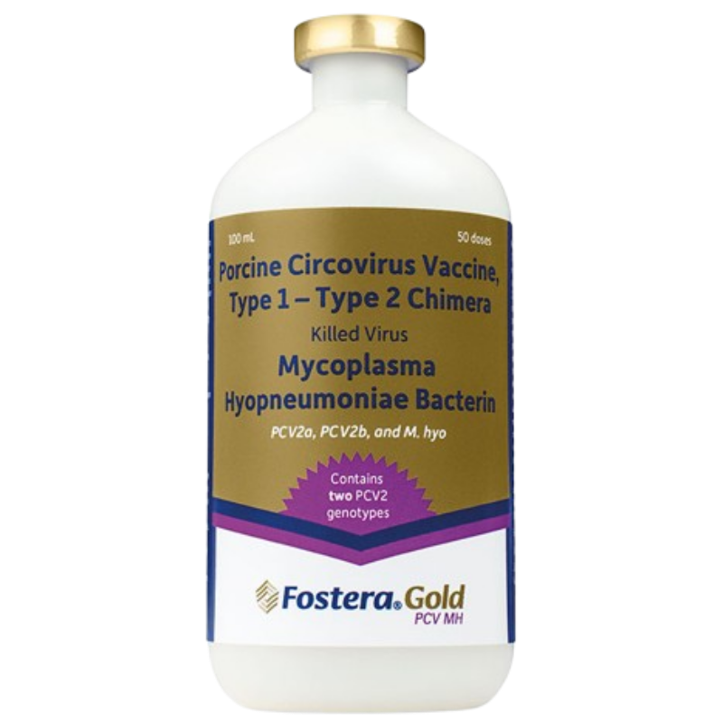 Fostera Gold PCV MH
