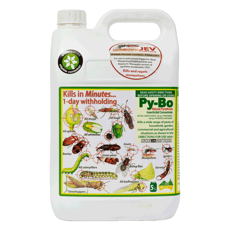 Py-Bo Natural Pyrethrum Insecticidal Concentrate [5 L]