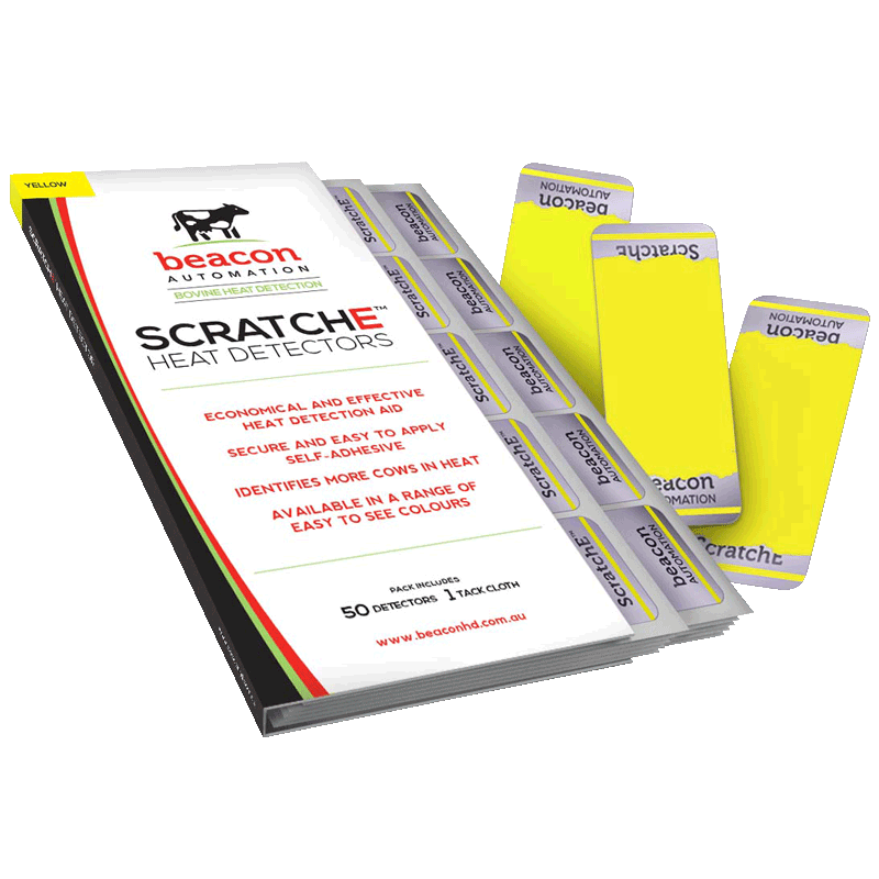 ScratchE - Yellow [50 Pack]