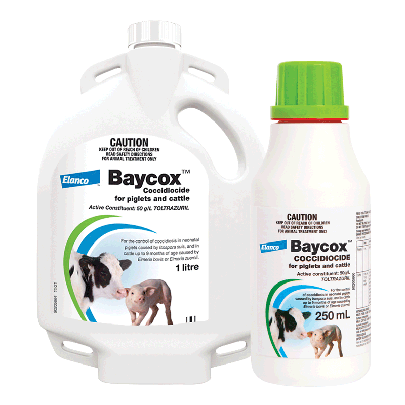 Baycox Coccidiocide for Piglets and Cattle