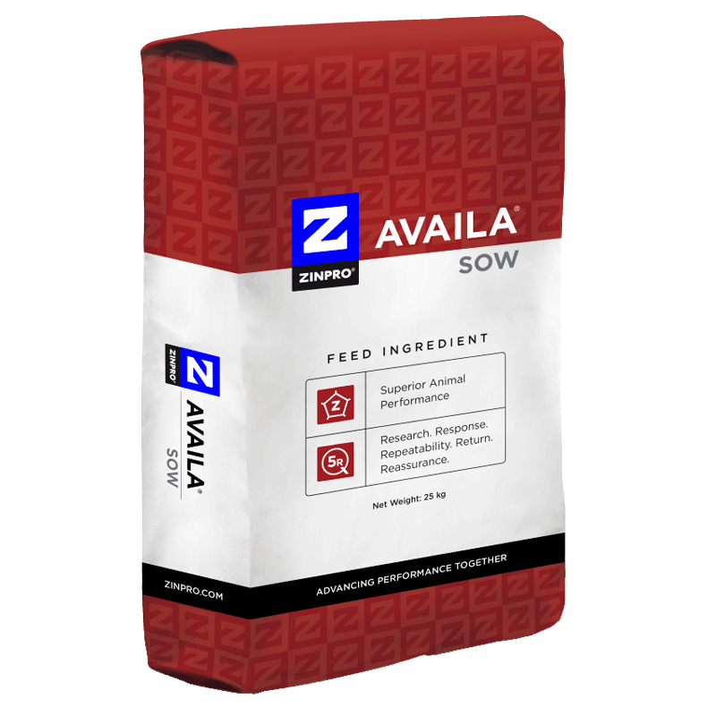 Availa-Sow Feet First