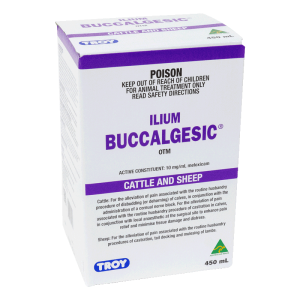 Ilium Buccalgesic