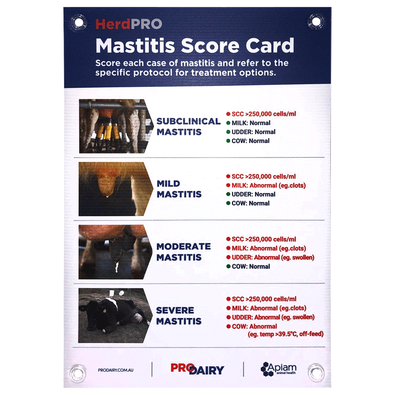 ProDairy Corflute A2 - HerdPRO Mastitis Scorecard [Each]