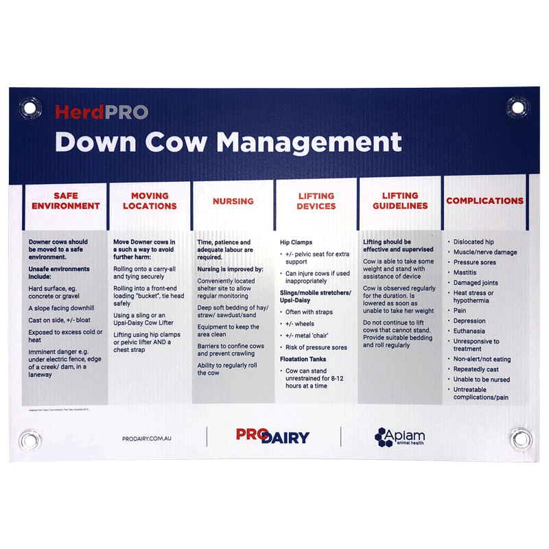 ProDairy Corflute A2 - HerdPRO Down Cow Management [Each]