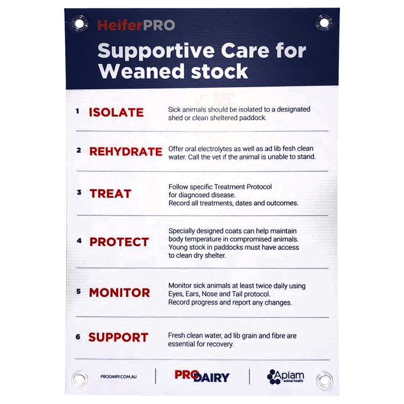 ProDairy Corflute A2 - HeiferPRO Supportive Care for Weaned Stock [Each]