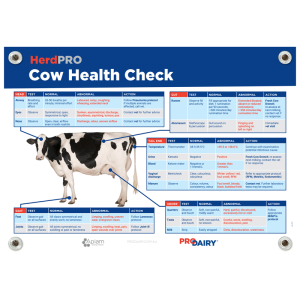ProDairy Corflute A2 - HerdPRO Cow Health Check [Each]