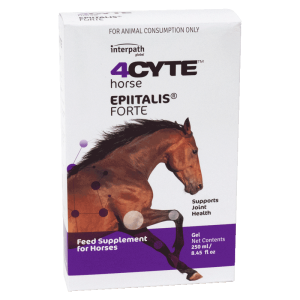4CYTE Horse Epiitalis Forte Gel