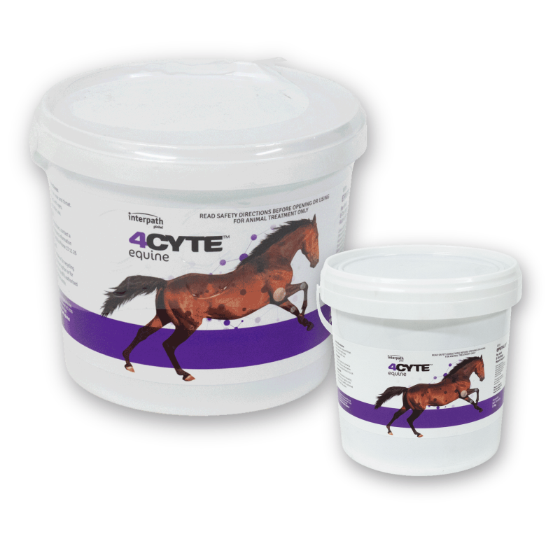 4CYTE Equine