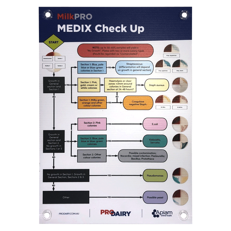 ProDairy Corflute A2 - HerdPRO MEDIX Checkup Growth Chart [Each]