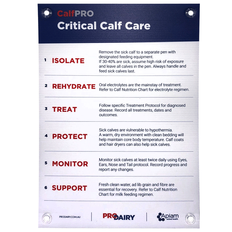 ProDairy Corflute A2 - CalfPRO Critical Calf Care [Each]