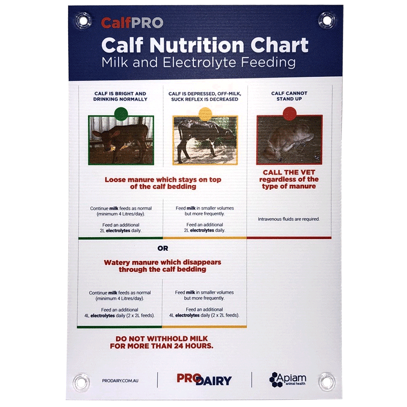 ProDairy Corflute A2 - CalfPRO Milk & Electrolyte Feeding [Each]